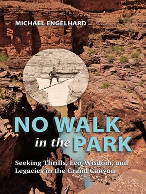 cover image of No Walk in the Park